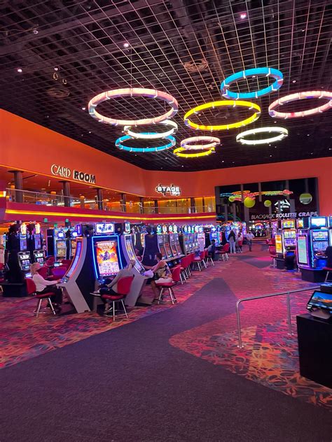 florida casinos|dania casino fl.
